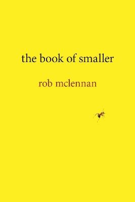 the book of smaller - rob mclennan - cover