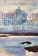 A Brief and Endless Sea