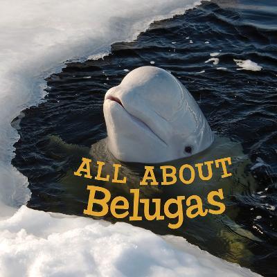 All about Belugas: English Edition - Jordan Hoffman - cover