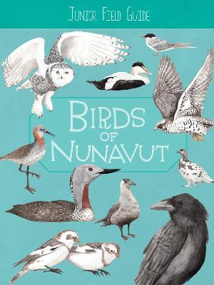 Junior Field Guide: Birds of Nunavut: English Edition - Carolyn Mallory - cover