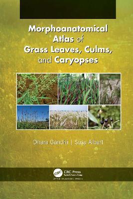 Morphoanatomical Atlas of Grass Leaves, Culms, and Caryopses - Dhara Gandhi,Susy Albert - cover