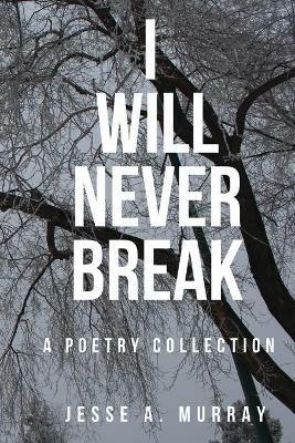 I Will Never Break - Jesse a Murray - cover