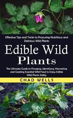 Edible Wild Plants: Effective Tips and Tricks to Procuring Nutritious and Delicious Wild Plants (The Ultimate Guide to Foraging, Identifying, Harvesting and Cooking Essential Wild Food to Enjoy Edible Wild Plants Safely)