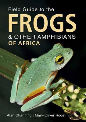 Field Guide to Frogs and Other Amphibians of Africa - Alan Channing,Mark-Oliver Rödel - cover