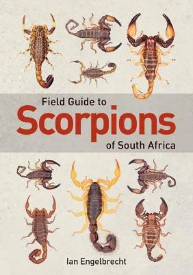 Field Guide to Scorpions of South Africa - Ian Engelbrecht - cover