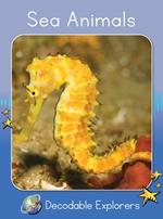 Sea Animals: Skills Set 6