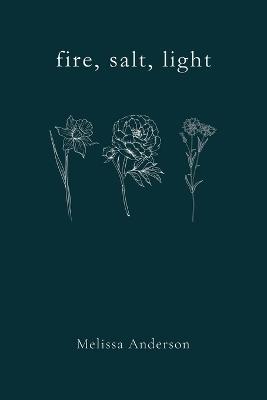 fire, salt, light - Melissa Anderson - cover