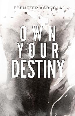 Own Your Destiny - Ebenezer Agboola - cover