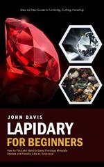 Lapidary for Beginners: Step by Step Guide to Tumbling, Cutting, Faceting (How to Find and Identify Gems Precious Minerals Geodes and Fossils Like an Advanced)
