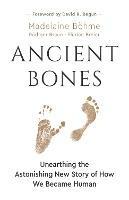 Ancient Bones: Unearthing the Astonishing New Story of How We Became Human - Madelaine Boehme,Rudiger Braun,Florian Breier - cover