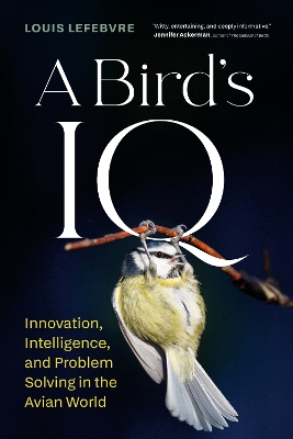 ibs