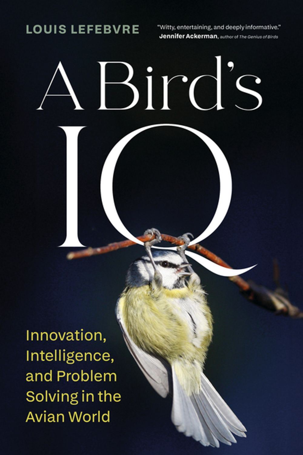 ibs