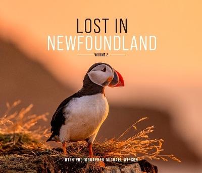 Lost in Newfoundland: Volume 2 - cover