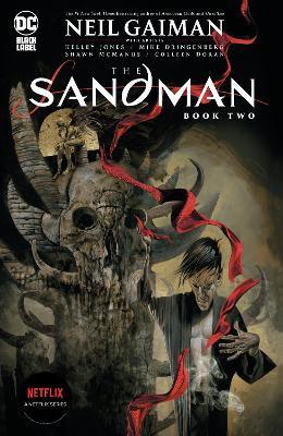 The Sandman Book Two - Neil Gaiman,Kelly Jones - cover