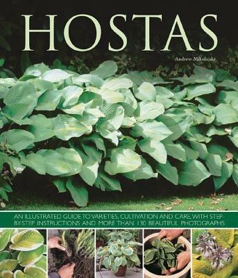 Hostas: an Illustrated Guide to Varieties, Cultivation and Care, with Step-by-step Instructions and More Than 130 Beautiful Photographs - Andrew Mikolajski - cover