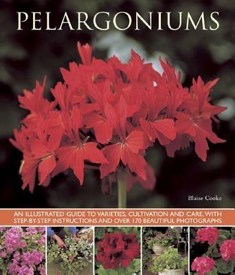 Pelargoniums - Blaise Cooke - cover