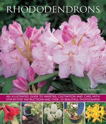 Rhododendrons - Hawthorne Lin - cover