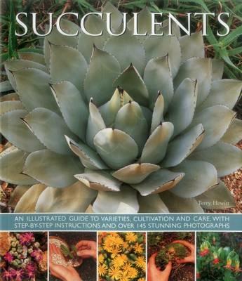 Succulents - Hewitt Terry - cover