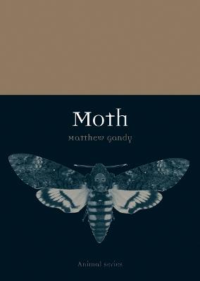 Moth - Matthew Gandy - cover