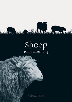 Sheep - Philip Armstrong - cover
