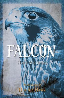 Falcon - Helen Macdonald - cover