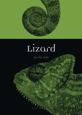 Lizard - Boria Sax - cover