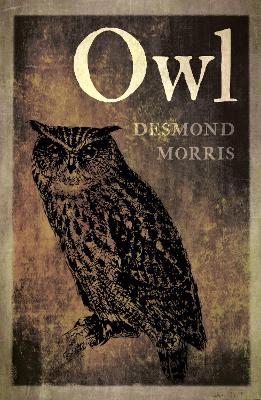 Owl - Desmond Morris - cover