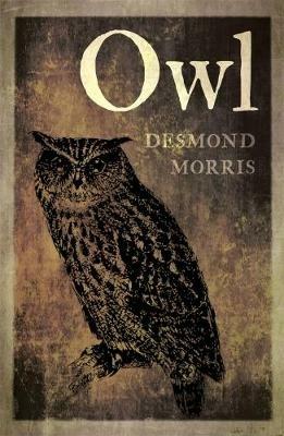 Owl - Desmond Morris - cover