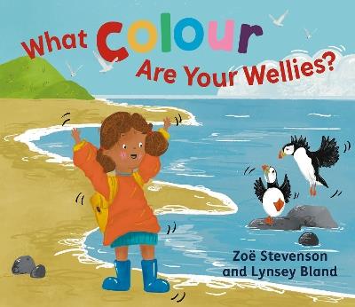 What Colour Are Your Wellies? - Zoe¨ Stevenson - cover