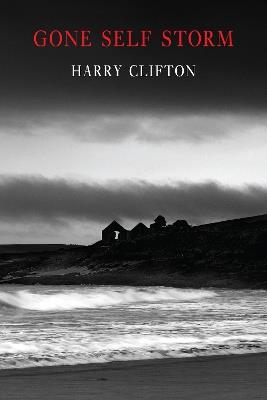 Gone Self Storm - Harry Clifton - cover