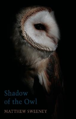 Shadow of the Owl - Matthew Sweeney - cover