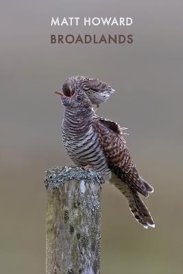 Broadlands - Matt Howard - cover