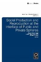 Social Production and Reproduction at the Interface of Public and Private Spheres - cover