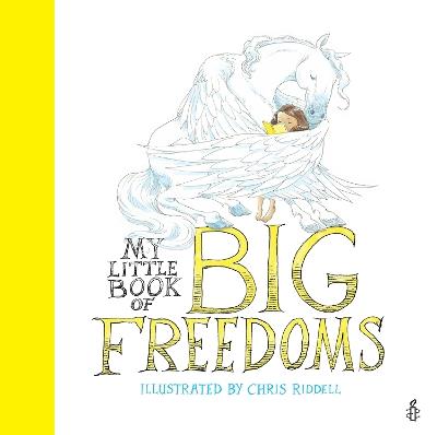 My Little Book of Big Freedoms: The Human Rights Act in Pictures - Chris Riddell,Amnesty International - cover