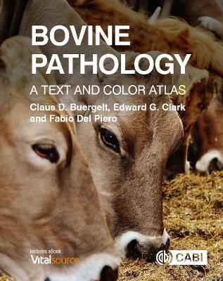 Bovine Pathology: A Text and Color Atlas - Claus D Buergelt,Edward G Clark,Fabio Del Piero - cover