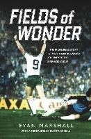 Fields of Wonder: The Incredible Story of Northern Ireland's Journey to the 1982 World Cup