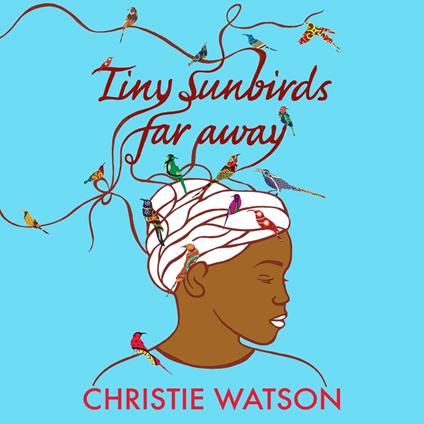 Tiny Sunbirds Far Away