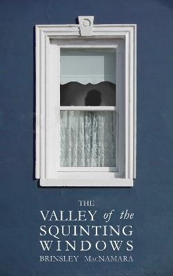 The Valley of the Squinting Windows - Brinsley McNamara - cover