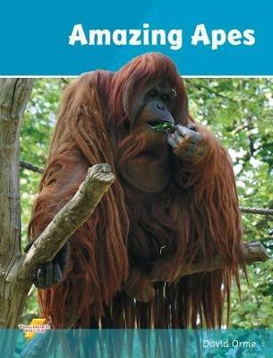 Amazing Apes: Set 2 - Orme David - cover