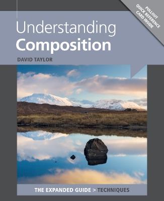Understanding Composition - David Taylor - cover