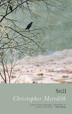 Still - Christopher Meredith - cover