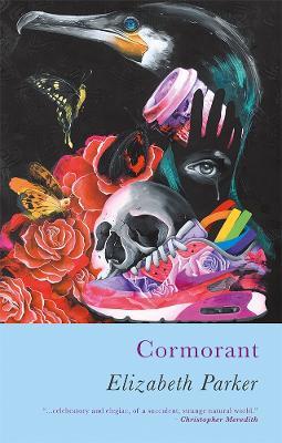 Cormorant - Elizabeth Parker - cover