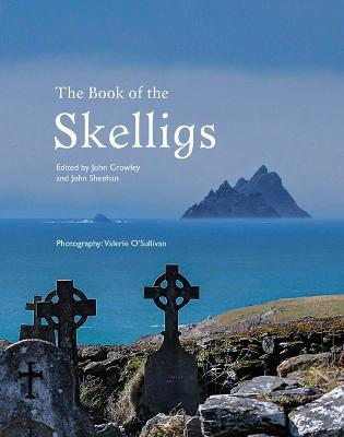 The Book of the Skelligs - cover