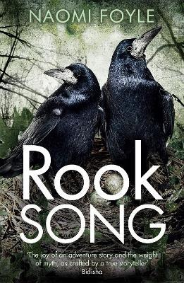 Rook Song: The Gaia Chronicles Book 2 - Naomi Foyle - cover