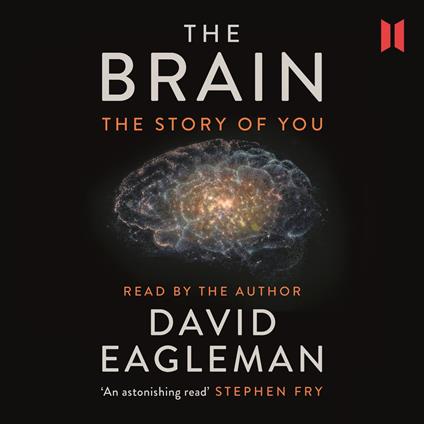 The Brain