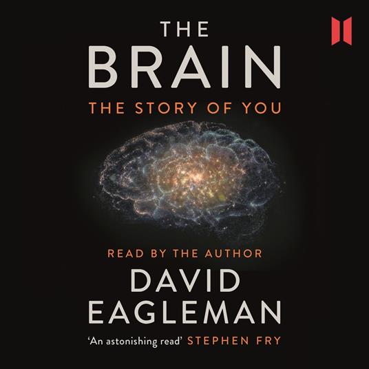 The Brain