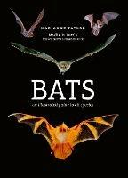 Bats: An illustrated guide to all species - Marianne Taylor - cover
