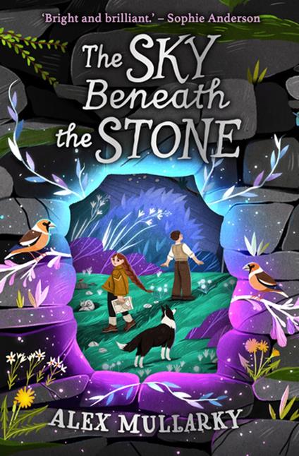 The Sky Beneath the Stone - Alex Mullarky - ebook