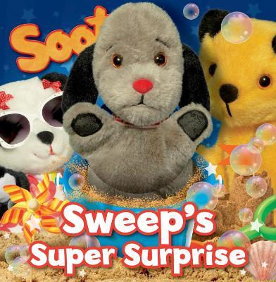 Sweep's Super Surprise - cover