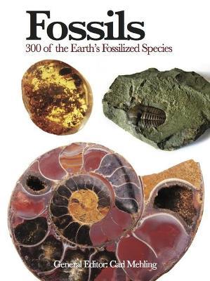 Fossils: 300 of the Earth's Fossilized Species - cover